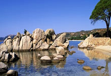 哪里能找到中国女足比赛的完整录像？